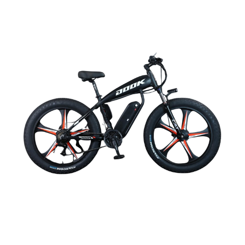 Electric Bikes