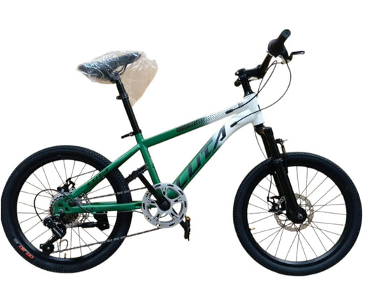 Luta 20″ Mountain Bike